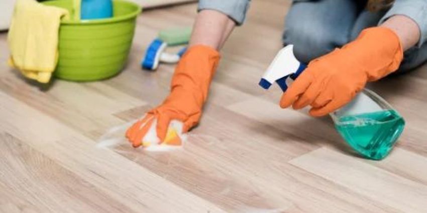 carpet sofa mattress cleaning