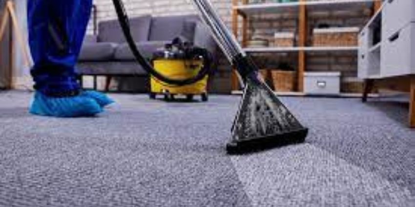carpet sofa mattress cleaning